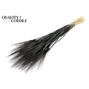 Triticum Beard per bunch Bleached Black