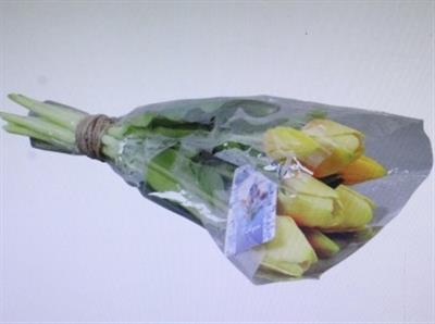 <h4>3110 Kunst Tulp Geel</h4>