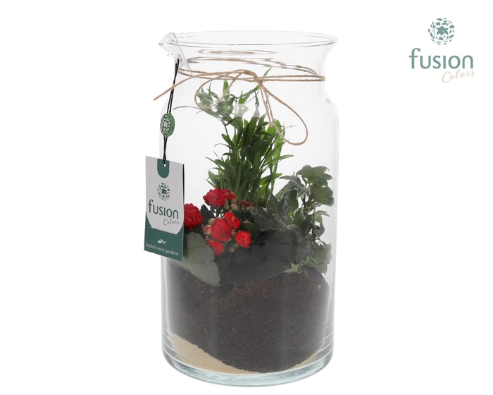 <h4>Glazen melkbus met arrangement</h4>