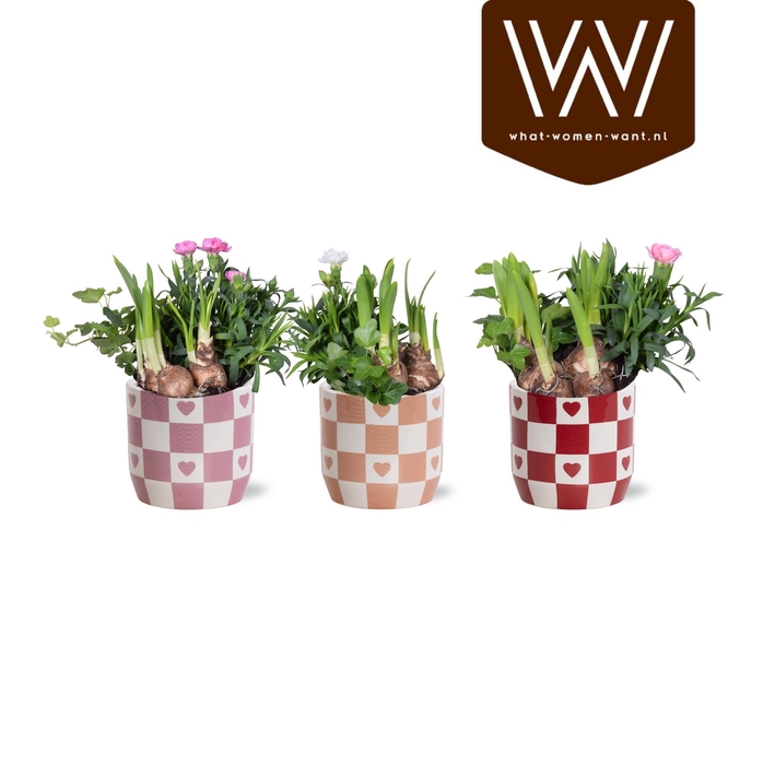 <h4>Collectie 'Sympathetic Moods' Arrangement in Keramiek Rosie</h4>