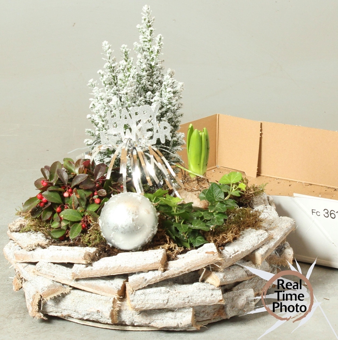 <h4>ARR TUINPLANTEN</h4>