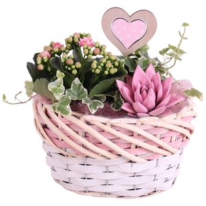 Mothersday Arr. Indoor Willow Basket Oval Threetone Ø22cm 3PP