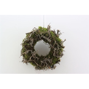 Wr Moss Bonsai 30cm Natural
