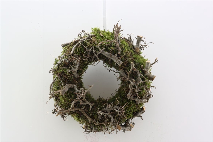 <h4>Wr Moss Bonsai 30cm Natural</h4>