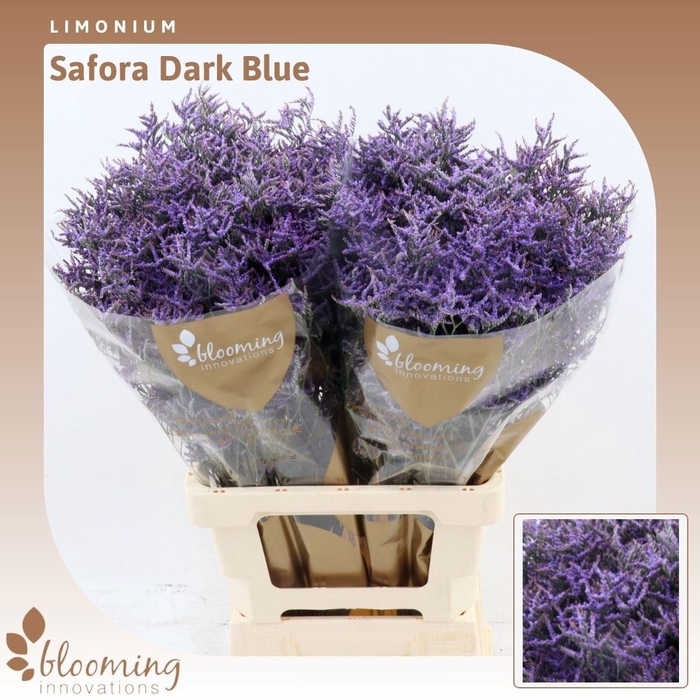 <h4>LIM SAF DARK BLUE</h4>