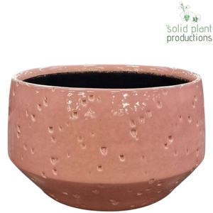 X C098 SOPHIA SOFT PINK MINI
