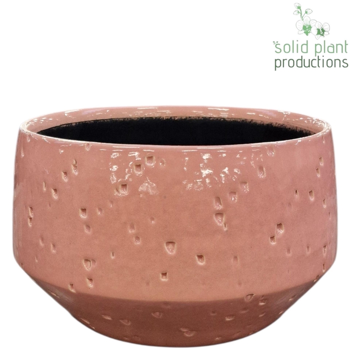 <h4>X C098 SOPHIA SOFT PINK MINI</h4>