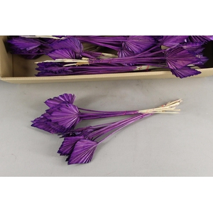 DF Palm Spear Small D.Lilac