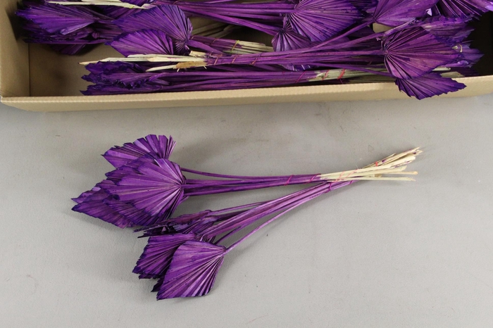 <h4>DF Palm Spear Small D.Lilac</h4>