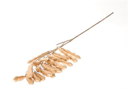 <h4>ARTIFICIAL FLOWER LEGUME BEAN</h4>