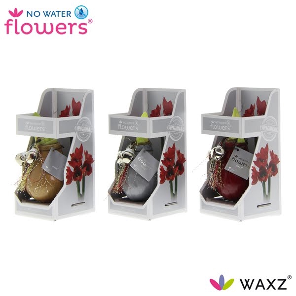 <h4>No Water Flowers® Jingle Bellz in Gift Box</h4>