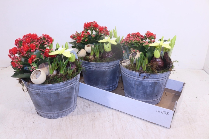 <h4>ARR PL IN SCHAAL</h4>