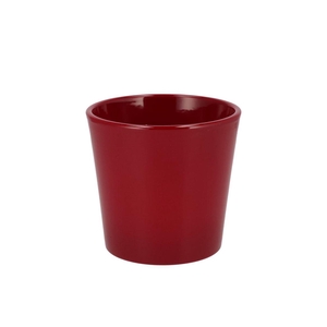 Ceramic Wine Red Shiny Pot Orchid 14cm