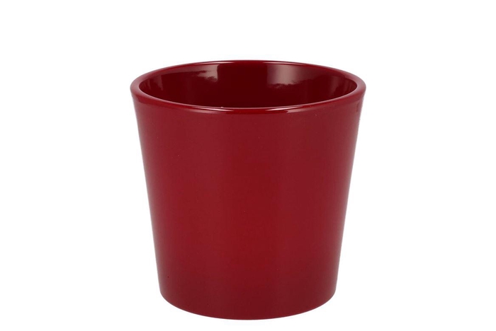 <h4>Ceramic Wine Red Shiny Pot Orchid 14cm</h4>