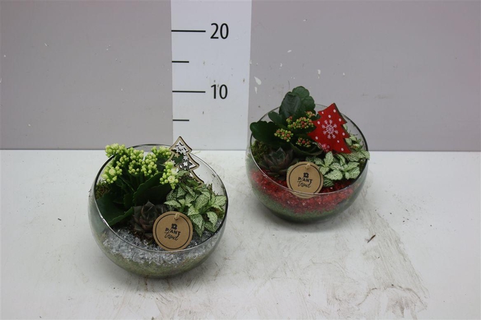 <h4>Arr 8792 Half Glas</h4>