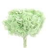 Hydrangea / Hortensia Mint Green HRT/0160