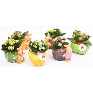 Keramiek haasmix 11-15cm