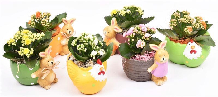 <h4>Keramiek haasmix 11-15cm</h4>