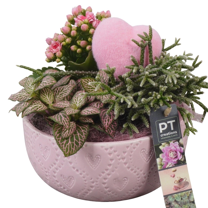 <h4>2299 KER ROZE ROND</h4>