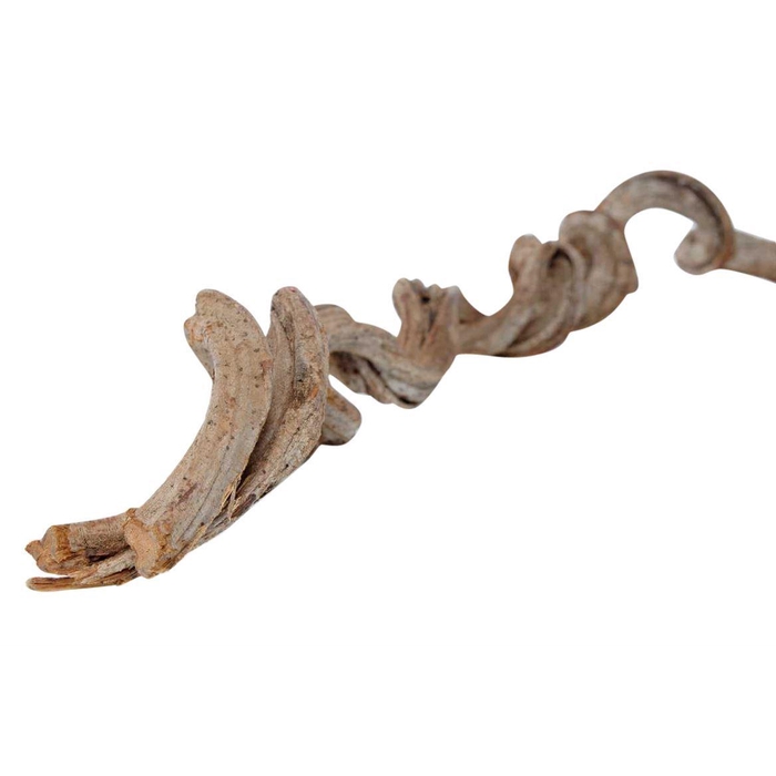 <h4>Branch Cipo Rosca L120D10</h4>