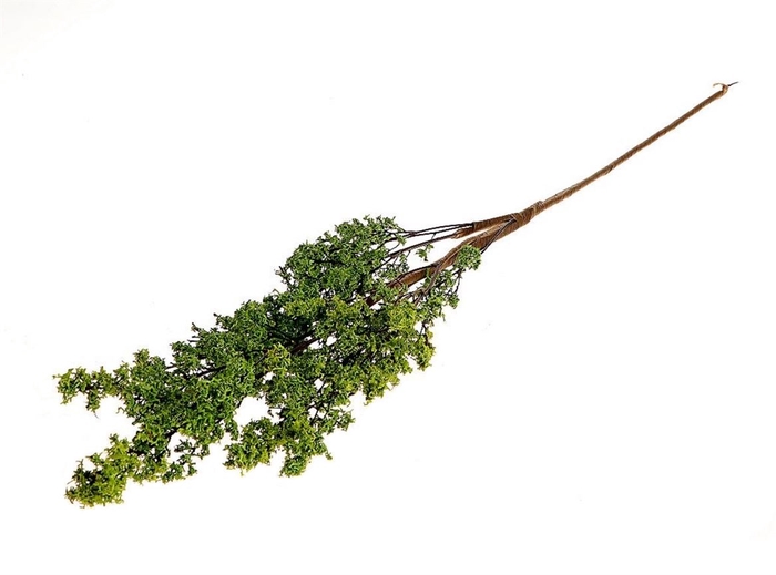 <h4>Deco Stem Green Moss 50gr L75</h4>