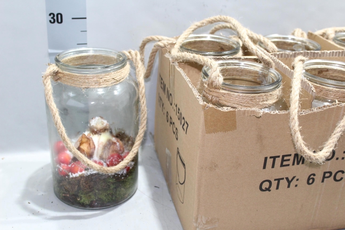 <h4>ARR HIPPEASTRUM</h4>