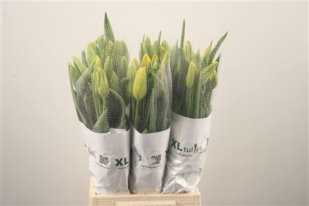 <h4>Tu Fr En La Courtine</h4>