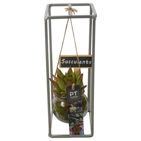 <h4>PTSU8404 Arrangement Succulenten in hangende glazen pot</h4>