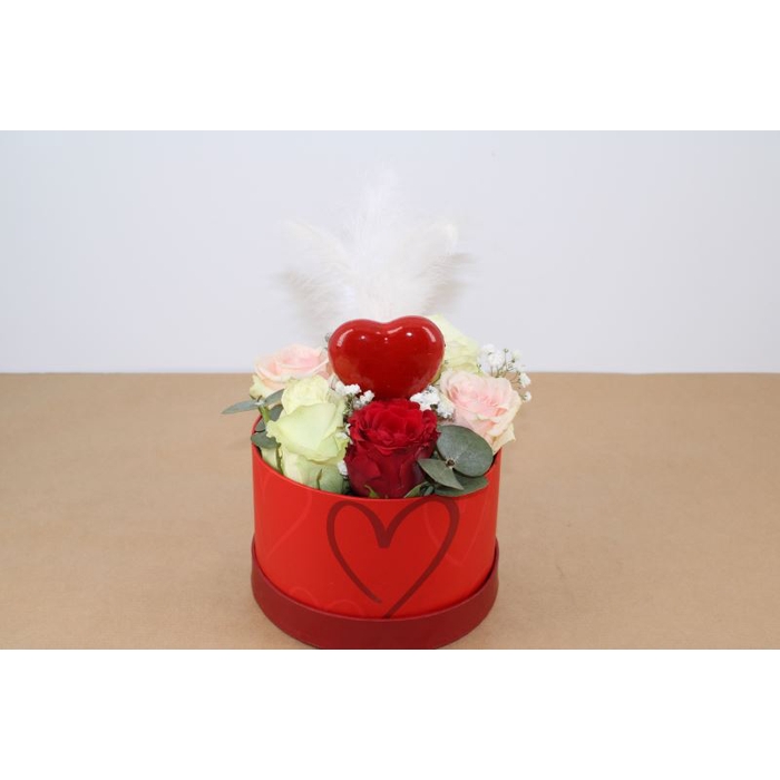 <h4>BLOEMENBOX NIEUW</h4>