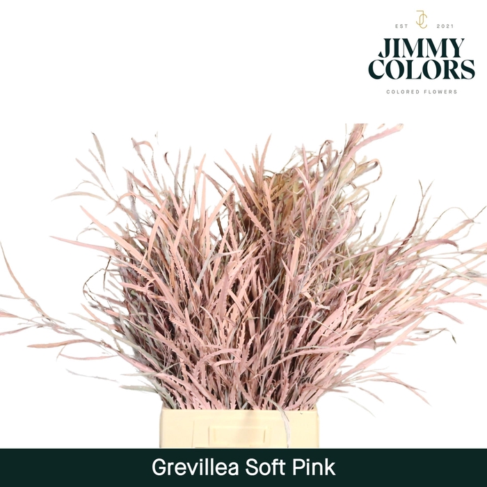 <h4>Grevillea (bunch) Soft pink</h4>