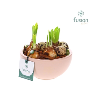 Schaal keramiek Moon Small blush pink met Bollen mix