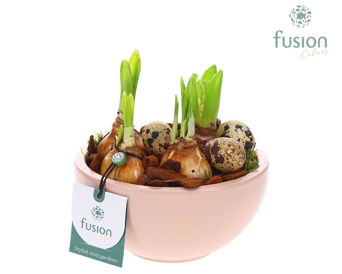 <h4>Schaal keramiek Moon Small blush pink met Bollen mix</h4>