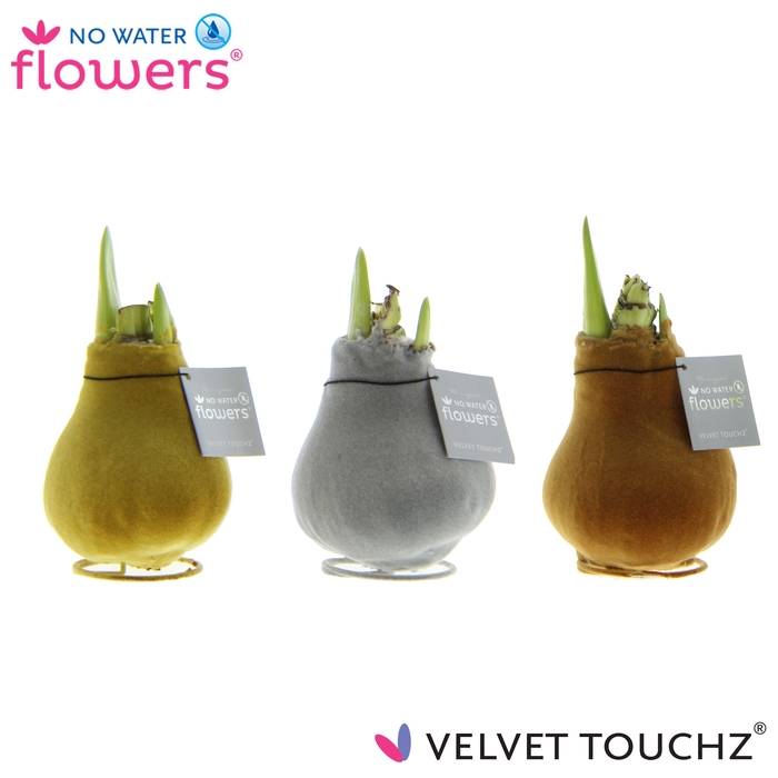 <h4>No Water Flowers Velvet Touchz® Metallic mix</h4>