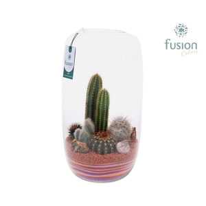 Green Bottle Isabella XXLarge met zand arrangement