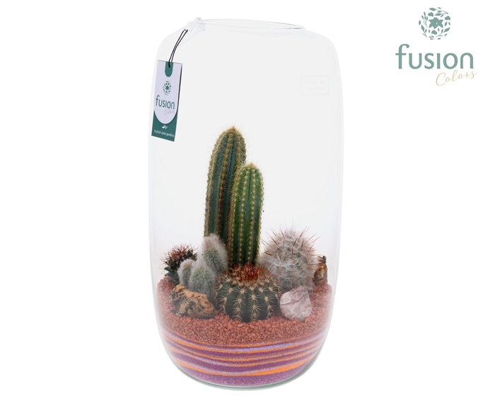 <h4>Green Bottle Isabella XXLarge met zand arrangement</h4>