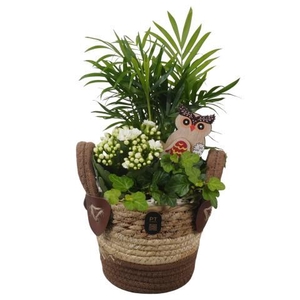 PTHI3303 Arrangement Autumn Indoor in rieten mand