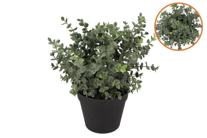 Silk Eucalyptus Green In Pot L 30x30x38cm