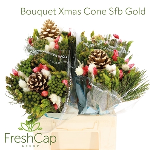 Bouquet Xmas Cone Sfb Gold