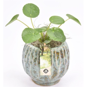 Keramiek pot gr/bl 12/14cm