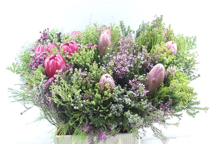 <h4>Protea Boeket</h4>