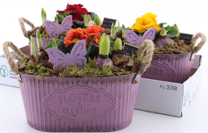 <h4>ARR PL IN SCHAAL</h4>