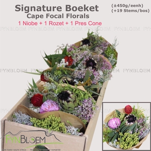 PROTEA PER BOS