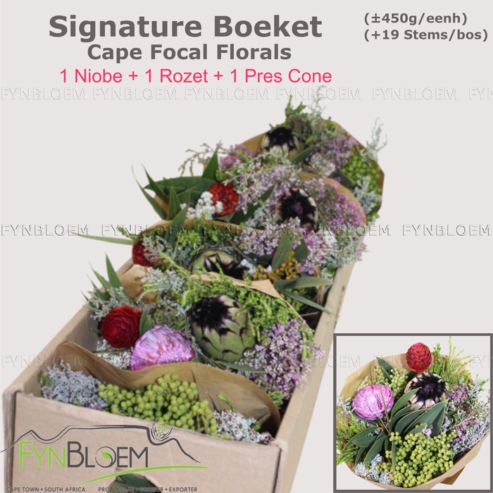 <h4>PROTEA PER BOS</h4>