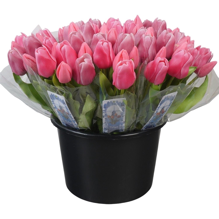 <h4>Decoratie  ..Kunstbloem H%</h4>