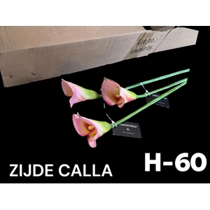 HUIS EN TUINDECO H%