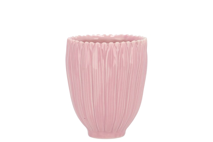 <h4>Bloom Daisy Dreamy Pink Cup 8x8x9cm</h4>