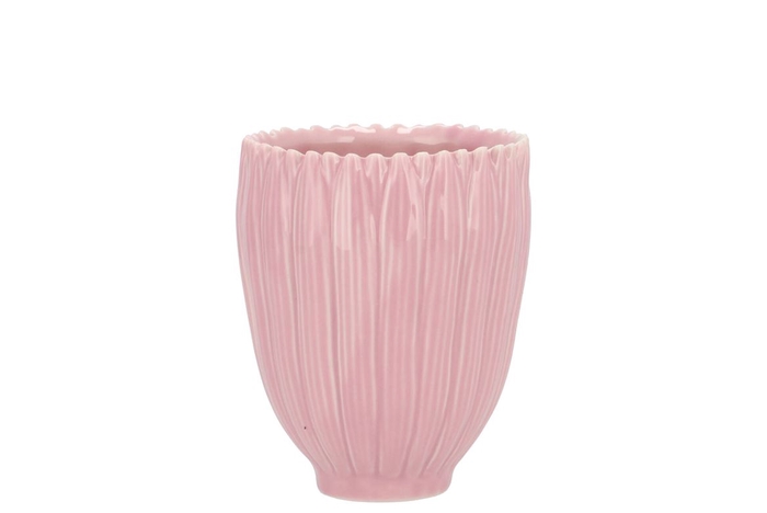 <h4>Bloom Daisy Dreamy Pink Cup 8x8x9cm</h4>