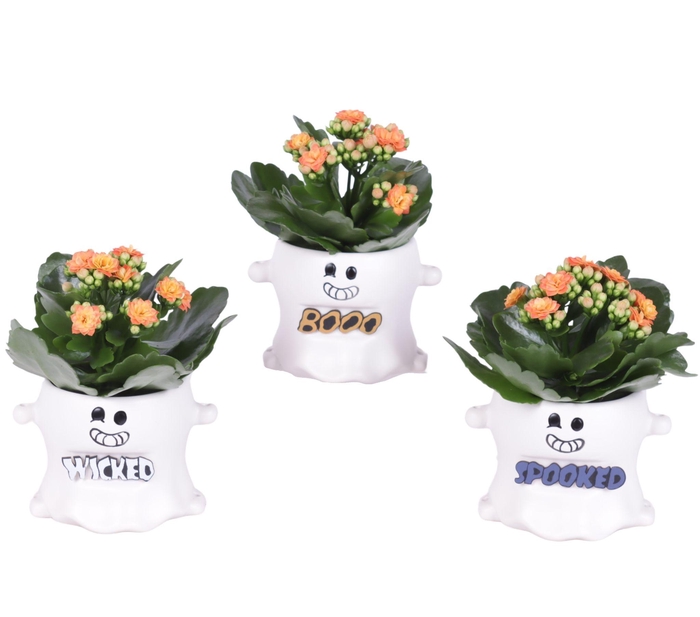 <h4>Halloween Arr. Indoor Ceramic Pot Funny Ghost Ø12cm 1PP</h4>