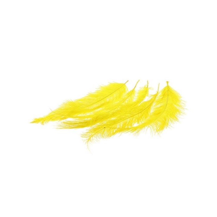 <h4>Feather Ostrich 5 Pcs L55</h4>