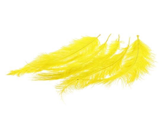 Feather Ostrich 5 Pcs L55